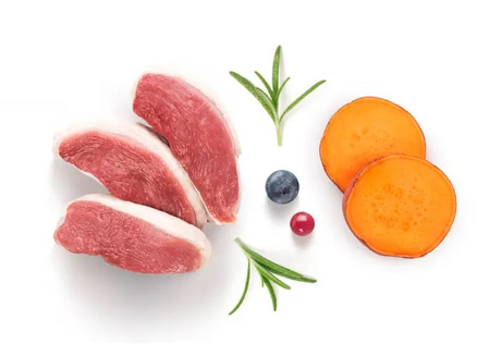 GRANDORF FRESH DUCK ADULT STERILISED KACZKA BATATY KARMA DLA KOTÓW STERYLIZOWANYCH 400g