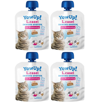 PRZYSMAK DLA KOTA JOGURT L.CASEI IMMUNE BEZ LAKTOZY TŁUSZCZU I CUKRU PROBIOTYKI YOW UP! 4x85g