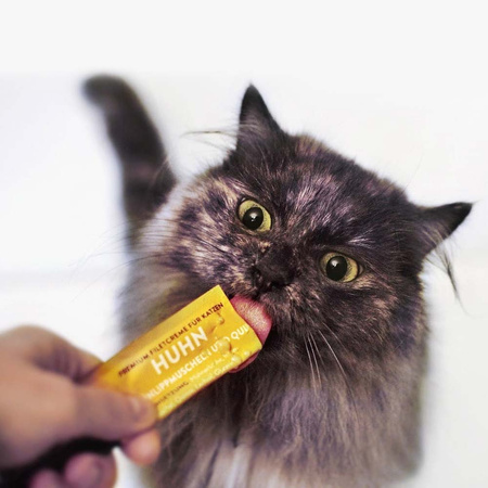 MOONLIGHT DINNER CREME SOS POLEWA PRZYSMAK DLA KOTA ŁOSOŚ 4x15g