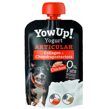 PRZYSMAK DLA PSA JOGURT ZDROWE STAWY Z KURCZAKIEM BEZ LAKTOZY TŁUSZCZU I CUKRU YOW UP! 115g