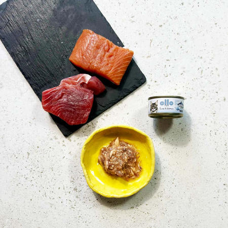 OLLO nr5 MOKRA KARMA W PUSZCE DLA KOTA KOCIĄT NATURALNA TUŃCZYK I ŁOSOŚ 12x70g