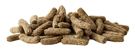 VERSELE LAGA CAVIA COMPLETE KOMPLETNA KARMA POKARM ŚWINKA MORSKA GRANULAT 2x3kg