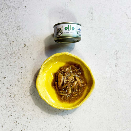  OLLO nr8 MOKRA KARMA W PUSZCE DLA KOTA KOCIĄT NATURALNA TUŃCZYK I WODOROSTY 70g