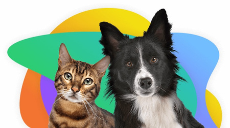 APTUS APTO-FLEX ADVANCED SYROP NA STAWY DLA PSÓW KOTÓW KOLAGEN MSM 500ml