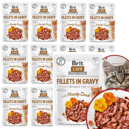 BRIT CARE CAT MOKRA KARMA DLA KOTA KACZKA W SOSIE SASZETKA 12x85g