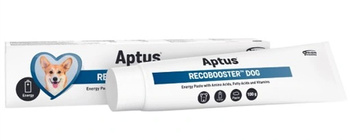 APTUS RECOBOOSTER DOG PASTA ENERGETYCZNA APETYT ODŻYWANIE DLA PSA 100g