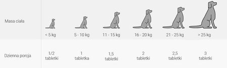 VEBIOT ARTHROXAN DOG 60 TABLETEK DLA PSA KOŚCI STAWY