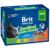 BRIT CAT POUCHES STERILESED PLATE KOT WYSTERYLIZOWANY W SOSIE 24x100g