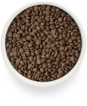 GRANDORF FRESH LAMB ADULT STERILISED JAGNIĘCINA BATATY KARMA DLA KOTÓW STERYLIZOWANYCH 400g