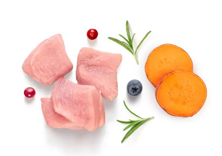 SUCHA KARMA DLA KOTA GRANDORF FRESH TURKEY ADULT INDYK BATATY 2kg