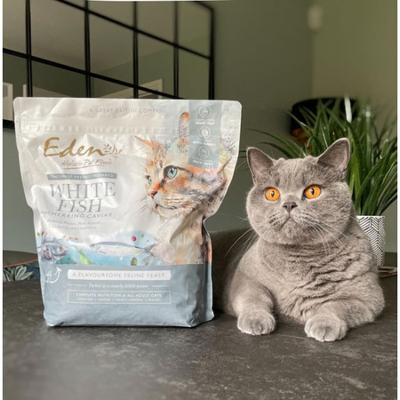 EDEN KARMA SUCHA PEŁNOPORCJOWA DLA KOTA DOROSŁEGO SENIORÓW KOTÓW Z NADWAGĄ BIAŁA RYBA I KAWIOR ZE ŚLEDZIA 1,5kg