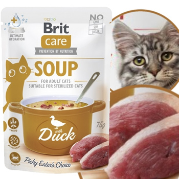 BRIT CARE CAT SOUP DUCK ZUPA KARMA NAPÓJ DRINK DLA KOTA KACZKA 75g