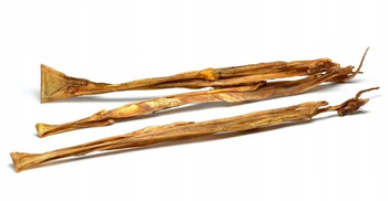 SKÓRA KRÓLIKA GRYZAK NATURALNY PRZYSMAK PSA 100g