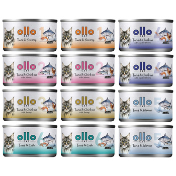  OLLO MOKRA KARMA W PUSZCE DLA KOTA KOCIĄT NATURALNA MIX SMAKÓW 12x70g