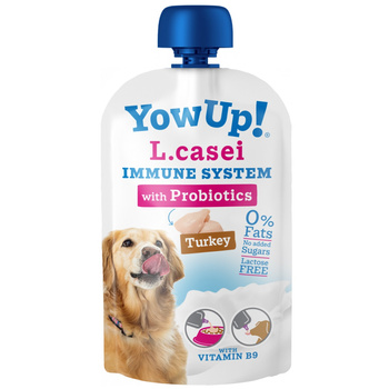 PRZYSMAK DLA PSA JOGURT L.CASEI IMMUNE BEZ LAKTOZY TŁUSZCZU I CUKRU PROBIOTYKI YOW UP! 115g